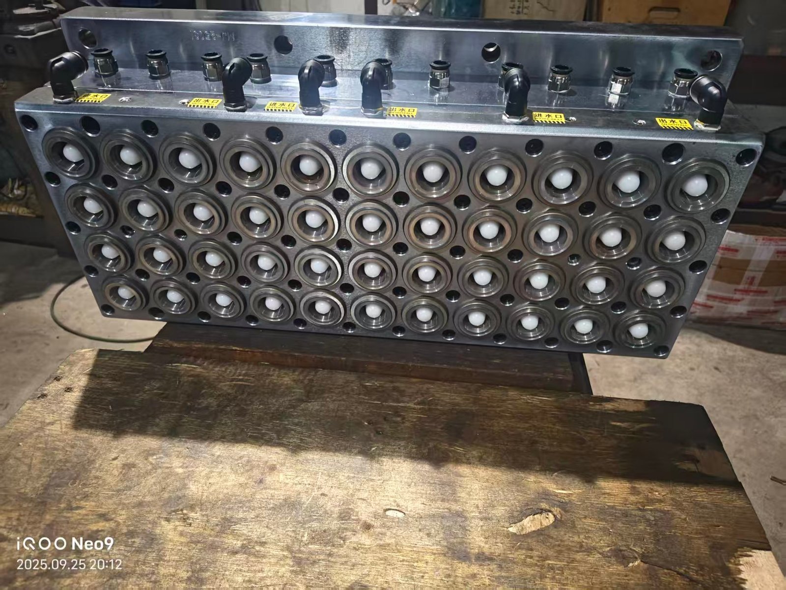 Litchi Cup Mold